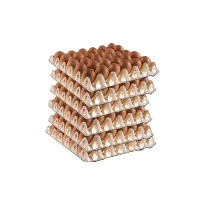 Vrije uitloop eieren Stolweitjes - Beter Leven **, 6x tray van 30 stuks in doos, familie Snoek, Stolwijk (6x_tray_30_eieren_stolwei)