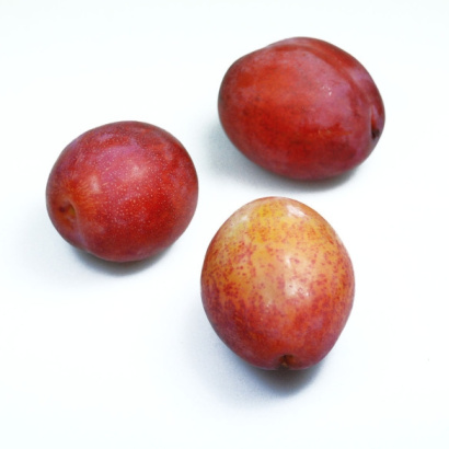 Pruimen Reine Victoria, GROOT, kistje 5 kilo, Fruitbedrijf Smorenburg, Woerden (reine-victoria_pruimen)