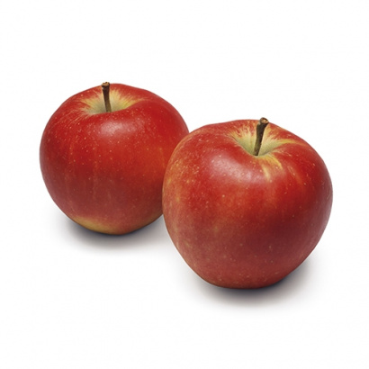 Handappels Wellant KLEIN, kist 9,5 kilo, Fruitbedrijf Smorenburg, Woerden (wellant)