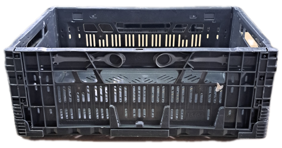 eps_zwarte_klapkrat_15404_k