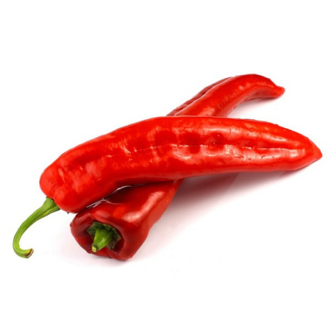 rode_puntpaprika_002